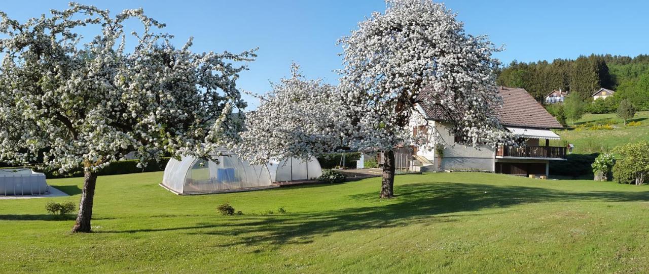 Les Jumeaux Apartment Granges-sur-Vologne Luaran gambar
