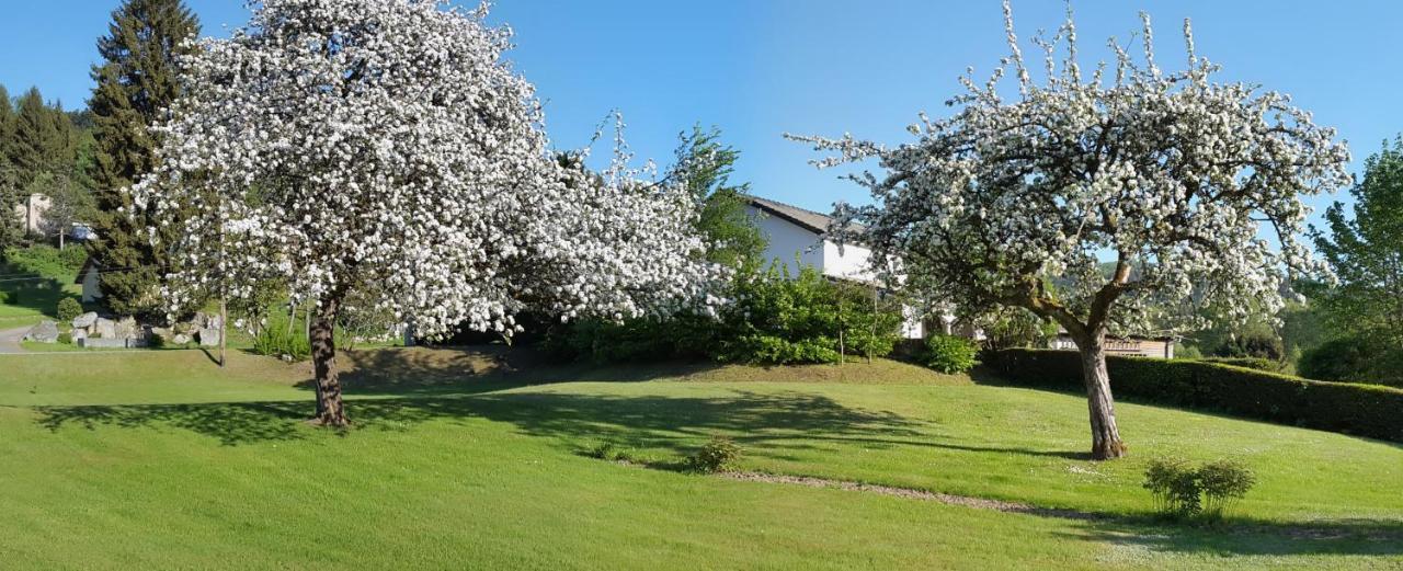 Les Jumeaux Apartment Granges-sur-Vologne Luaran gambar