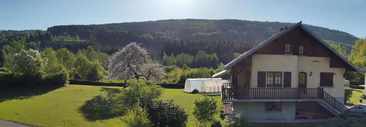 Les Jumeaux Apartment Granges-sur-Vologne Luaran gambar